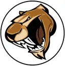 Croydon Cougars